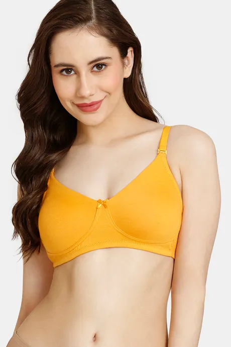 https://elegantessentials.in/wp-content/uploads/2023/10/rosaline-everyday-double-layered-non-wired-3-4th-coverage-t-shirt-bra-marigold-1.webp